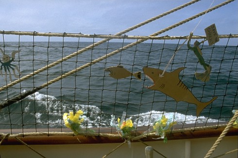 The open-ocean-internet