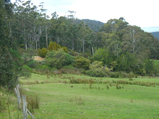 in Tasmania