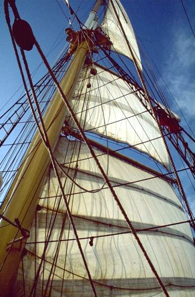 Sedov - mizzen mast