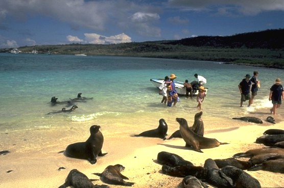 Galapagos landing - Santa F�