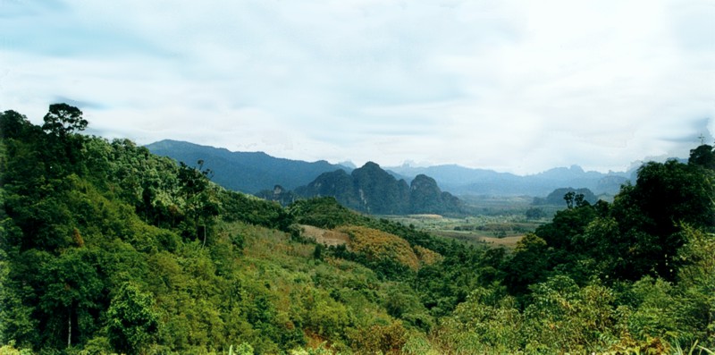 Khao Sok National Park