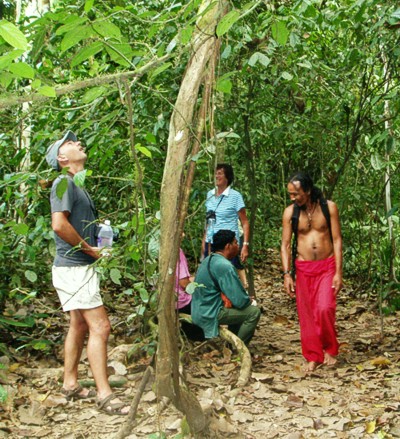 Little break in the jungle