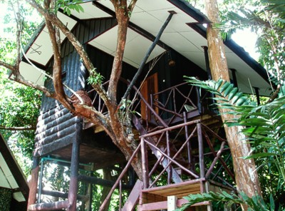 House in Tree Tops River Huts