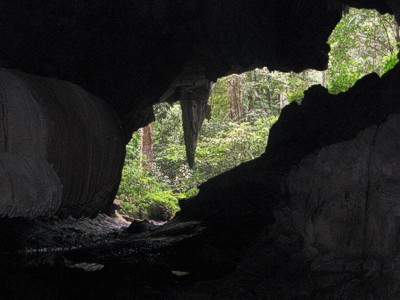 the mouth of the cave