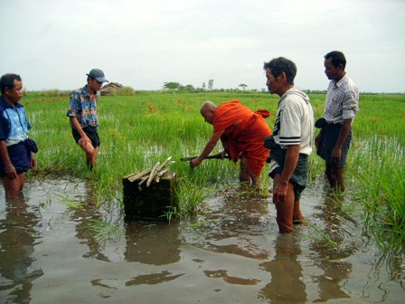 in Pound Kine, district of Ma-u-bin, Myanmar, after hurricane Nargis