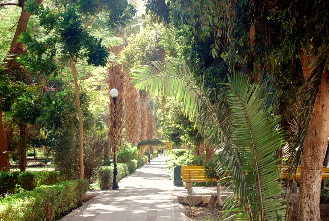 Allee auf Kitchener