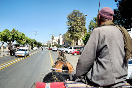 Kalesche nach Karnak Auf der Fahrt nach Karnak