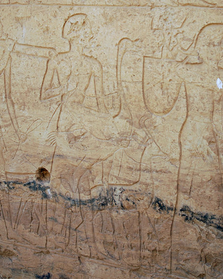 Straußenrelief Strauß in Bait-el-Wali