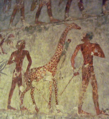 Detail bei Rechmire Detail im Grab des Rechmire