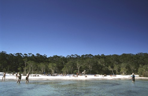 Clear Lake on Fraser Island