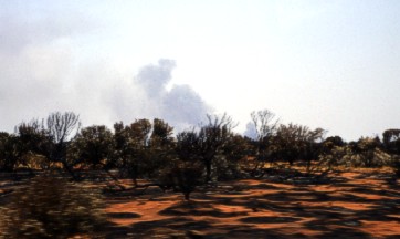 Bush fire