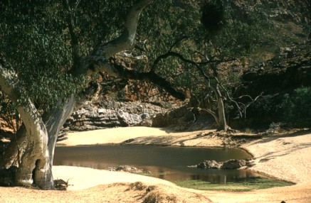 the bottom of the gorge