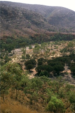 Ormiston Gorge seen from the rocks