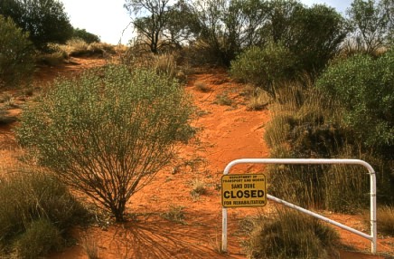 Sand Dune