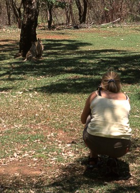 Agile kangaroos and Jorien ready for the shot