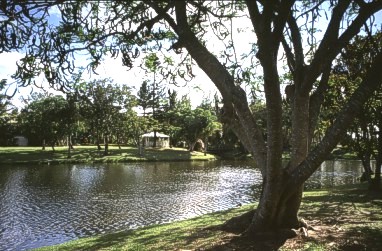 The Pond in Kondari Resort