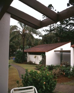 looking outside the bungalow