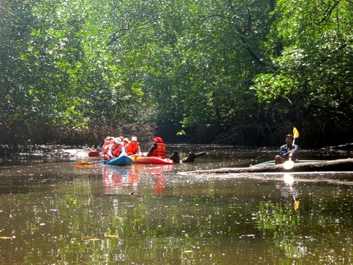 Where the river ends