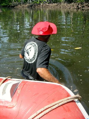 Tiger trailing the boat