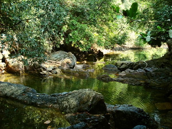 creek becoming freshwater creek becoming freshwater