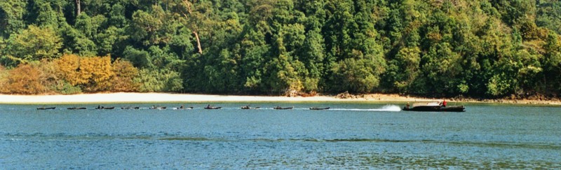 trailing boats