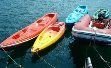 the boats