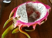 dragonfruit