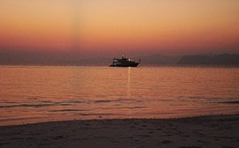 Seaworld I in the sunset