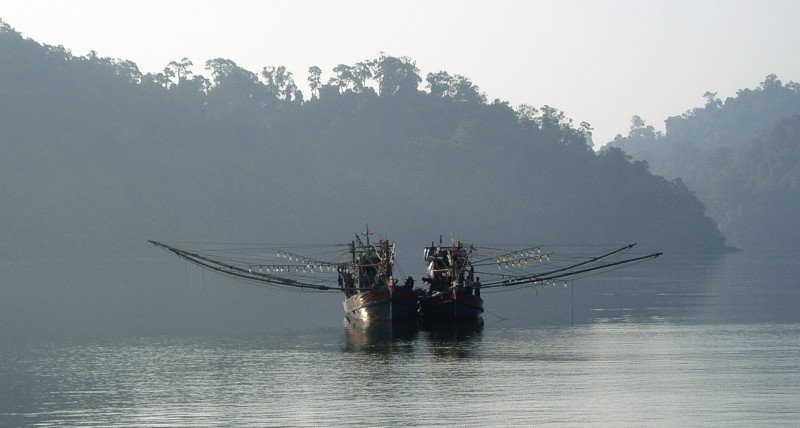 fisherboats in the morning